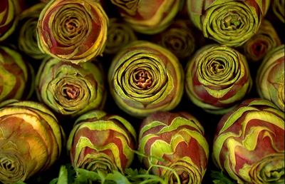artichokes