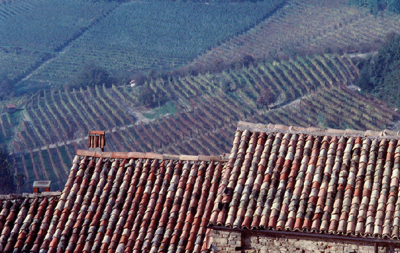 serralungavineyards